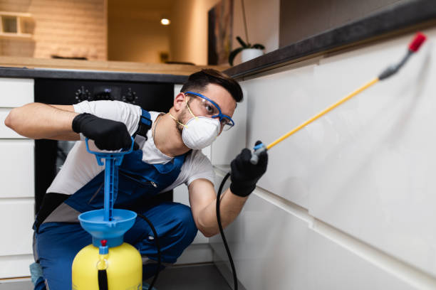 Best Pest Inspection Near Me  in Dimondale, MI