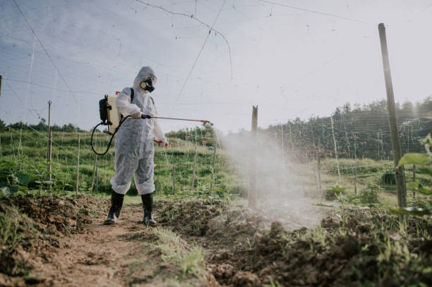 Best Pest Removal Services  in Dimondale, MI