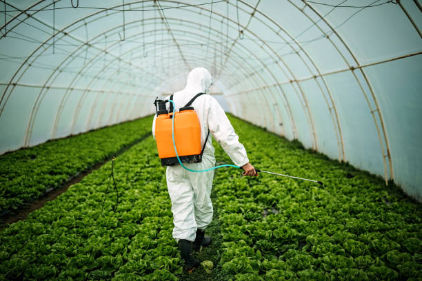 Best Best Pest Control Companies  in Dimondale, MI