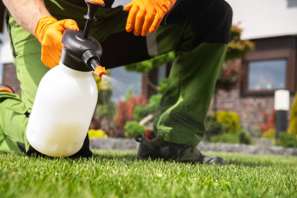 Best Ant Control Services  in Dimondale, MI