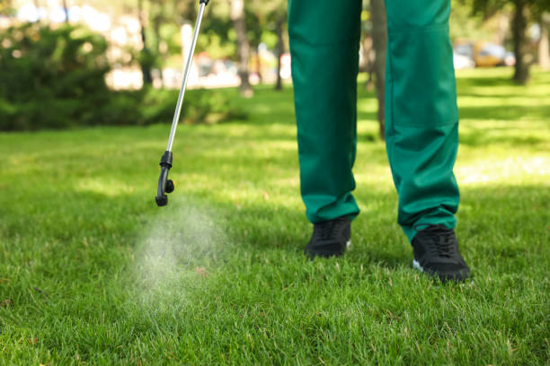 Best Commercial Pest Control Services  in Dimondale, MI