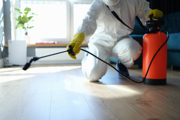 Best Local Pest Control Services  in Dimondale, MI