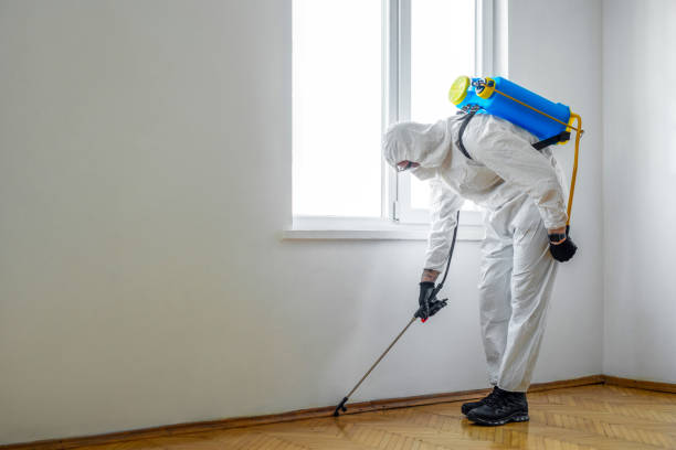 Best Best Pest Control Companies  in Dimondale, MI