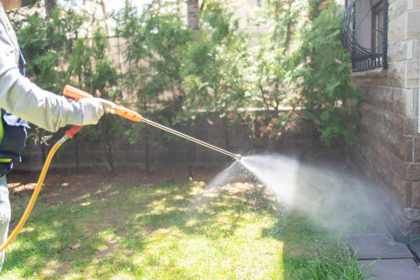 Best Rat Extermination Near Me  in Dimondale, MI