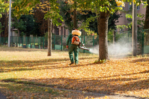 Best Pest Prevention Services  in Dimondale, MI