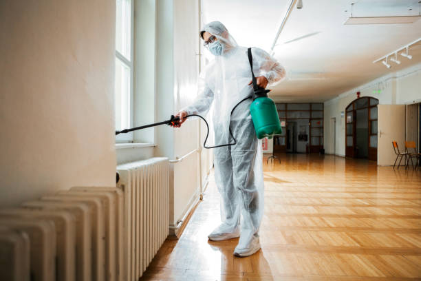 Best Wasp Removal Services  in Dimondale, MI