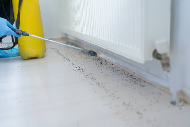 Best Emergency Pest Control  in Dimondale, MI