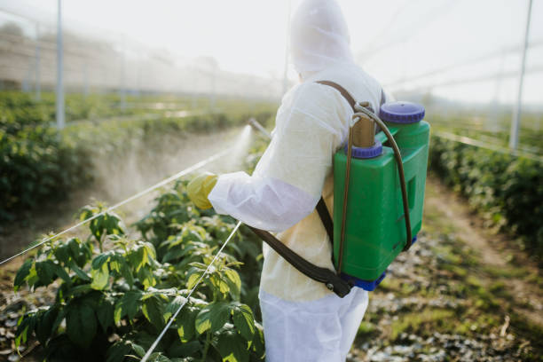 Best Bed Bug Extermination  in Dimondale, MI